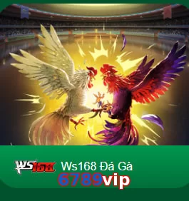 6789vip